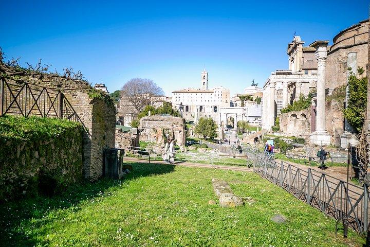 Guided Tour to Colosseum, Roman Forum and Palatine Hill