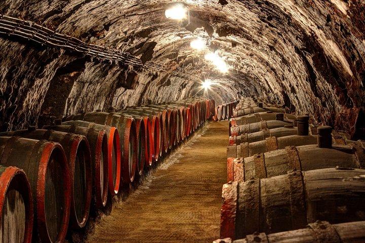 Full-Day Tokaj UNESCO World Heritage Site Private Wine Tour