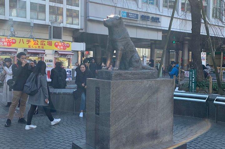 Tokyo Food and Culture tour (Shibuya and Harajyuku)