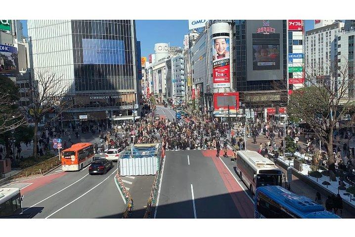 Tokyo Food and Culture tour (Shibuya and Harajyuku)