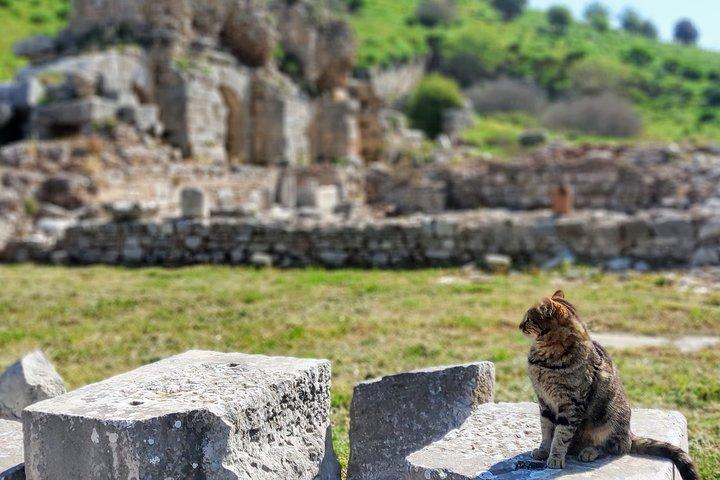 All Inclusive Private Ephesus Day Trip from Istanbul by Plane