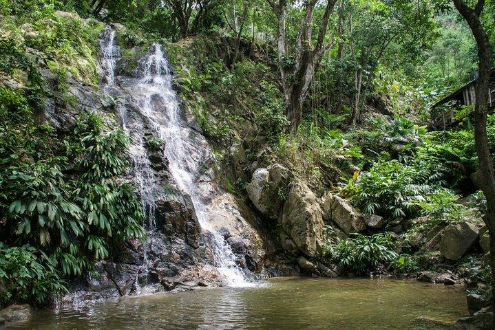 Minca, Waterfalls and Coffee Farm Tour from Santa Marta