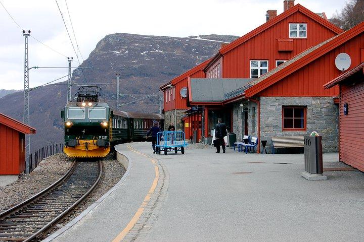Full Day Guided Roundtrip From Bergen To Sognefjord With Flam Railway