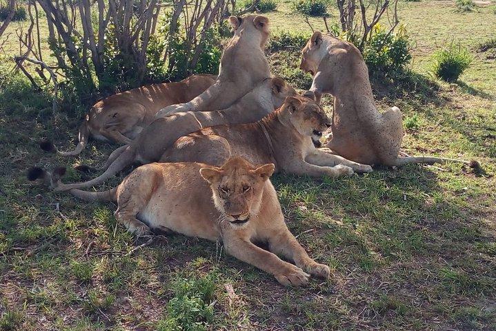 Tsavo East National Park small group tour