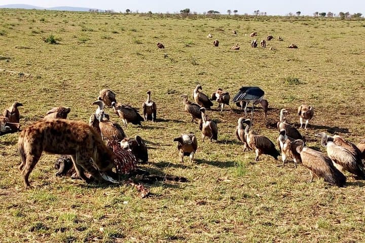 Lake Naivasha Full day Tour With Boat Rides