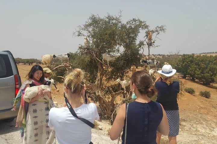 Essaouira group excursion