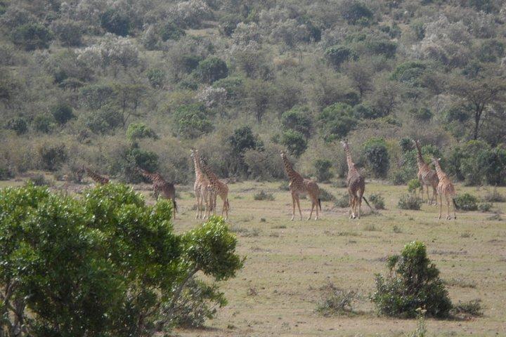 Mt Longonot Guided Climbing Expeditions