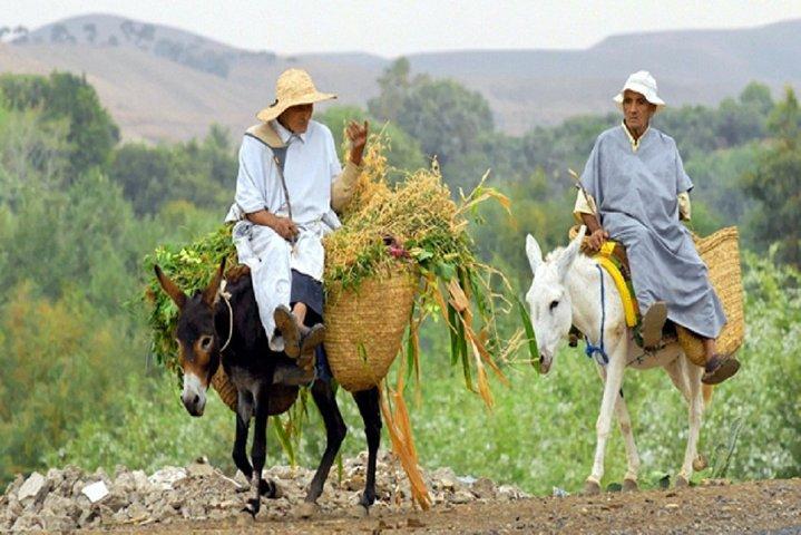 Cultural Day Tour To the Atlas Mountains & Berber villages from Marrakech