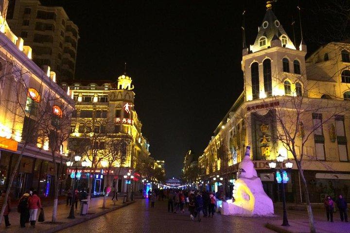 Private Arrival Transfer from Harbin West Railway Station to Harbin City Hotel