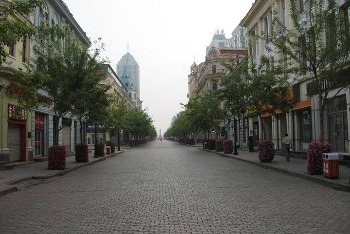 Private Arrival Transfer from Harbin West Railway Station to Harbin City Hotel