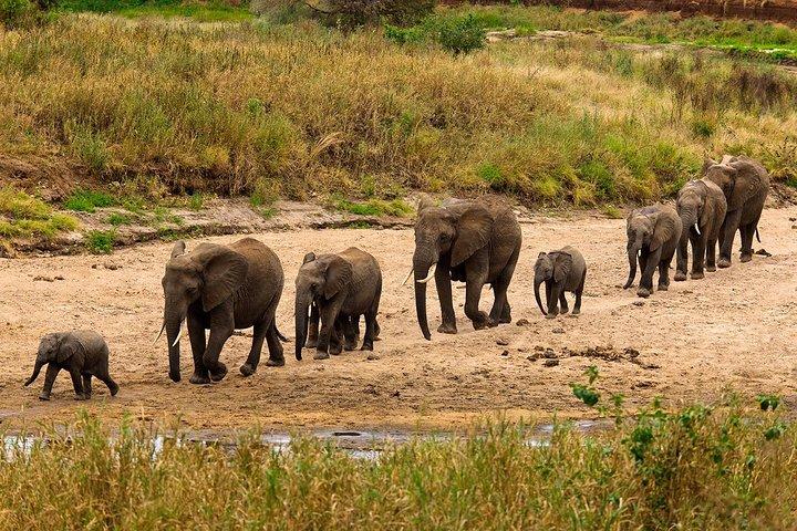 6 days Private Safari Tour Tanzania