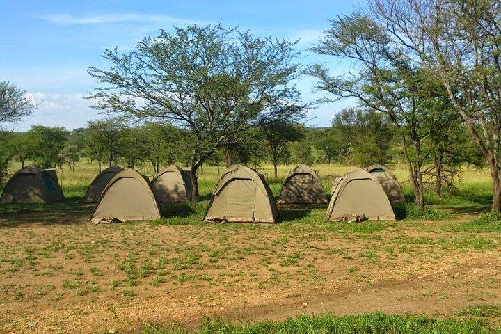 3 Days Budget Camping Safari Tour Tanzania