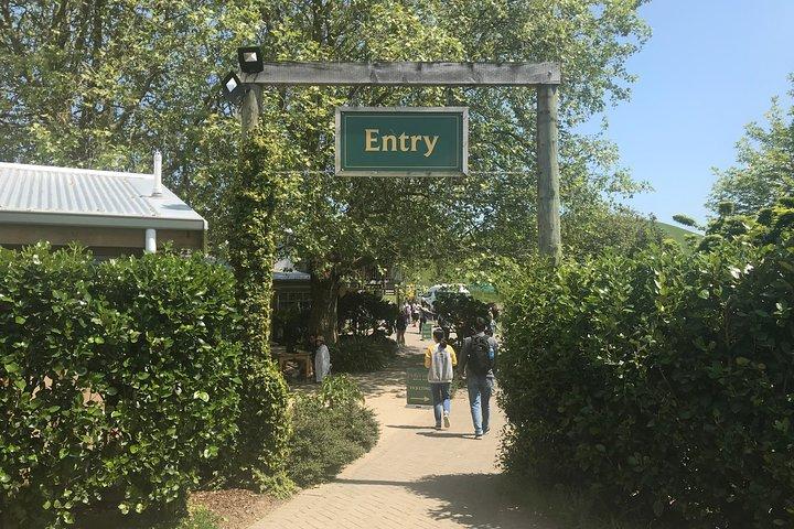 Hobbiton Movie Set Tour - Departs Tauranga