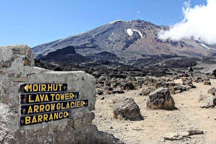 8 Days Mount Kilimanjaro Lemosho Route Climb