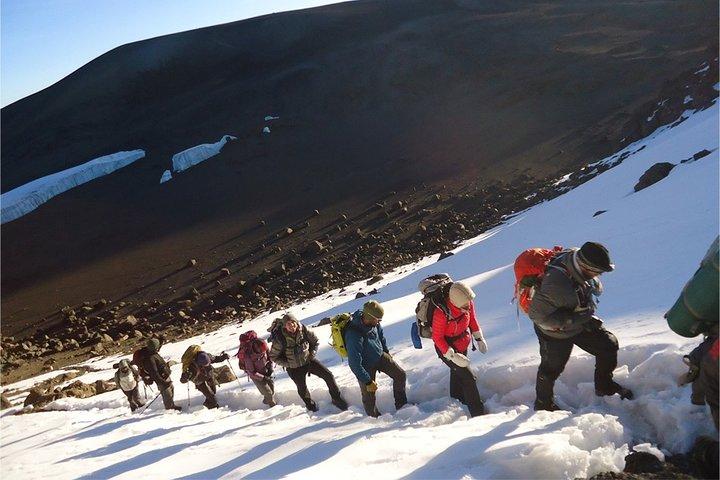 8 Days Mount Kilimanjaro Lemosho Route Climb