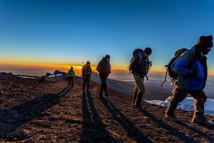 8 Days Mount Kilimanjaro Lemosho Route Climb