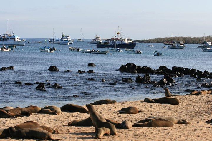 Full-Day Pinzon Island Snorkeling and Fishing