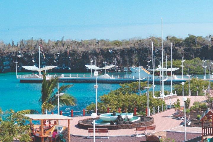 Full-Day Pinzon Island Snorkeling and Fishing