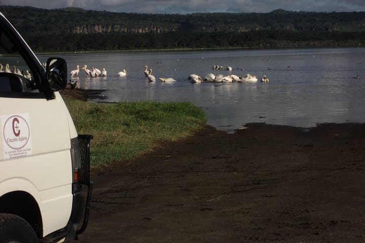 Day Tour Nairobi to the Lake Nakuru National Park