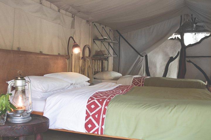 3-Day Masai Mara Safari in a Luxury Tented Camp