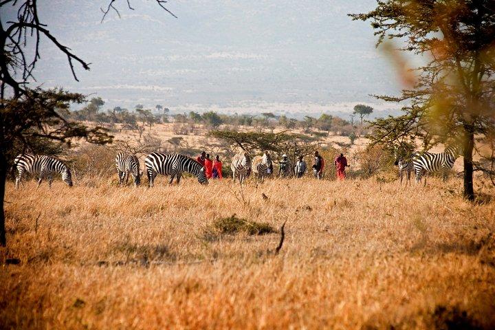 3-Day Masai Mara Safari in a Luxury Tented Camp