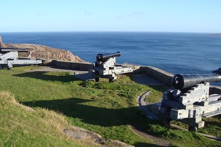 Seal Island, World of Birds and Cape City Center Tour.