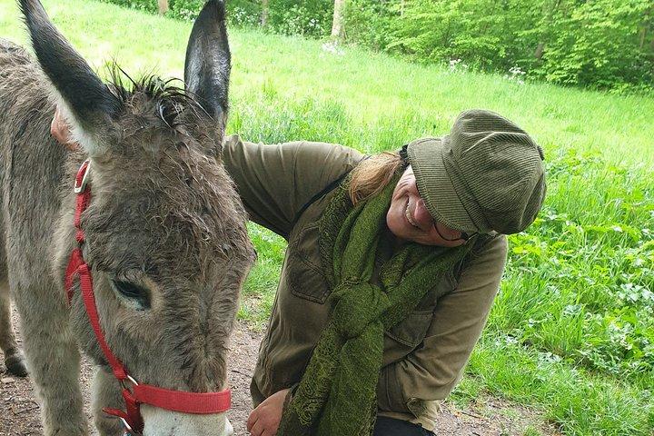 Inspirational Nature Walking Tour with Donkeys in The Hague