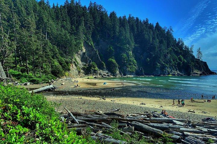 Oregon Coastal Tour to Cannon Beach and Haystack Rock