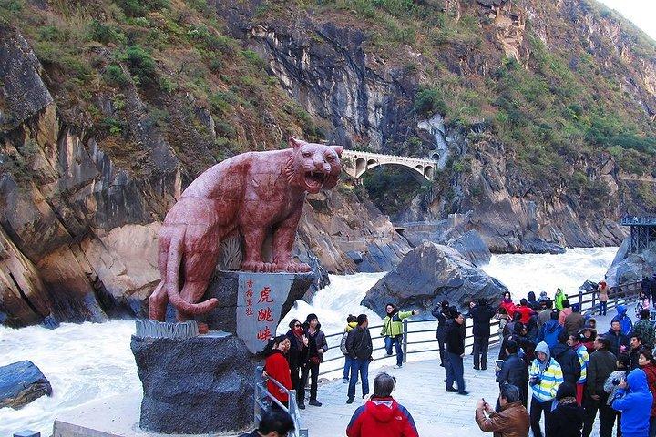 Private Day Tour Tiger Leaping Gorge and Black Dragon Pond from Lijiang