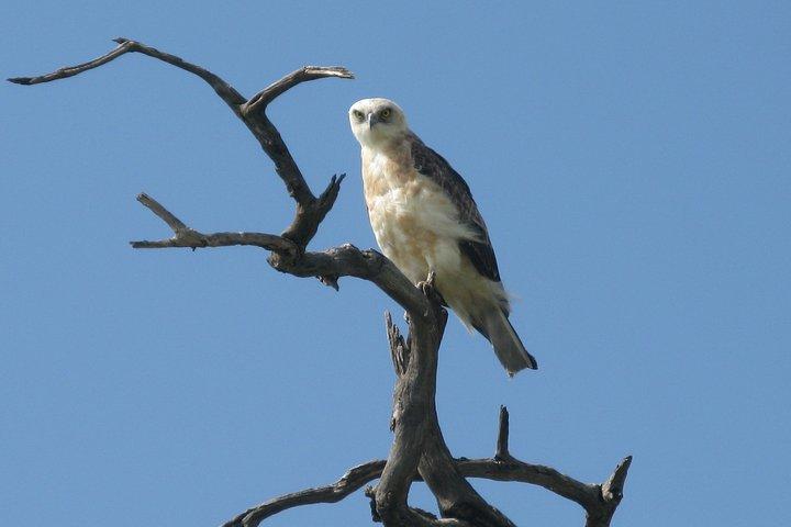1 Day trip to Hells gate National park and Lake Naivasha boat ride