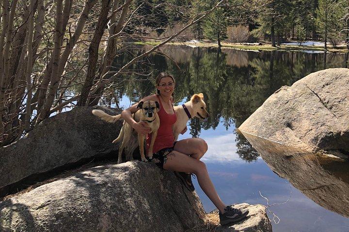 Big Bear Jeep off-road tour with Hike to Bluff Lake Reserve