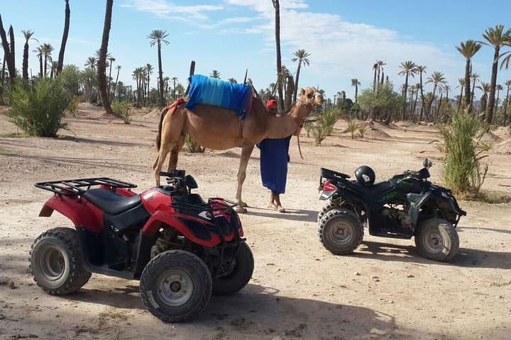 Camel Ride & Quad Bike Adventure in Marrakech’s Palmeraie Oasis