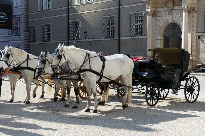 Private 2-day Guided Tour to Cesky Krumlov Hallstatt and Salzburg from Vienna