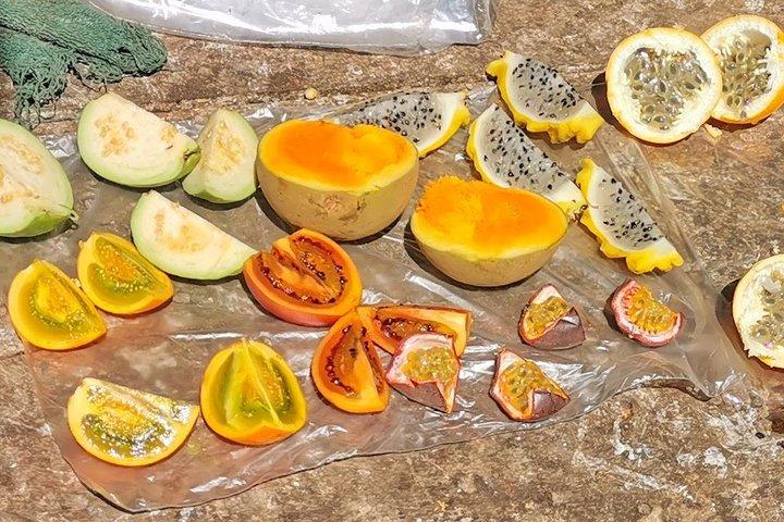 Guatape Town & Peñol Rock & Exotic Fruit Tasting | Private Tour