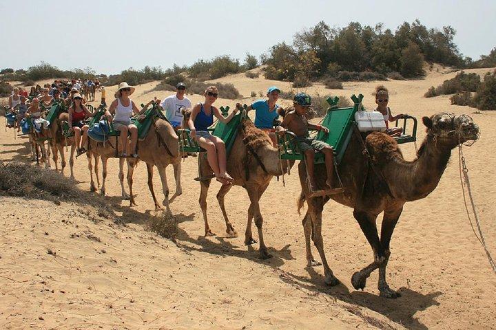 e-Scooter City Tour + Camel Ride inside Maspalomas Dunes