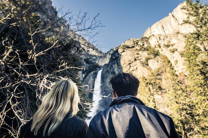 San Francisco to Yosemite One-Way Transfer