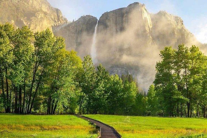 San Francisco to Yosemite One-Way Transfer
