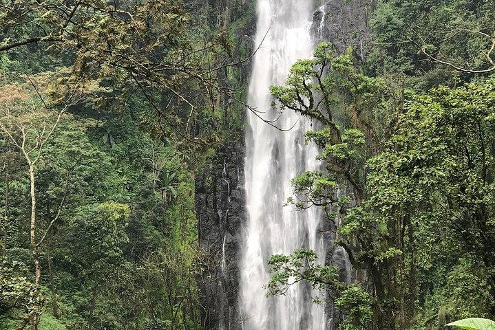 Materuni Waterfalls and Coffee Day Tour