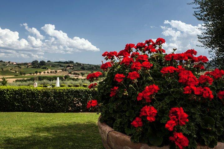 Menu with a “View” in the enchantment of the Tuscan hills
