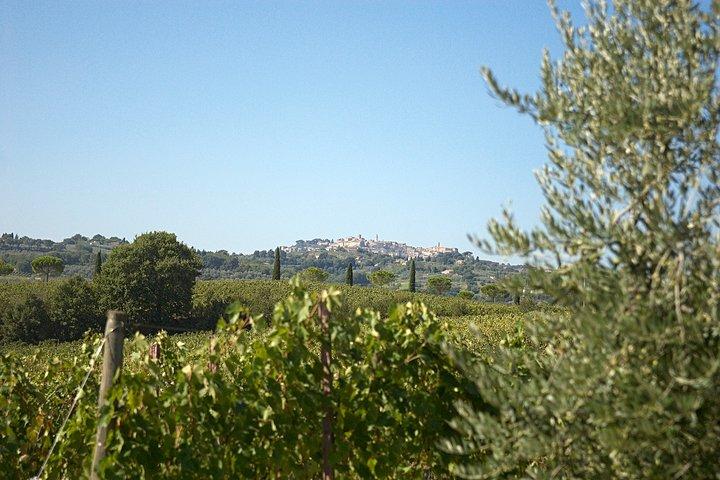 Menu with a “View” in the enchantment of the Tuscan hills
