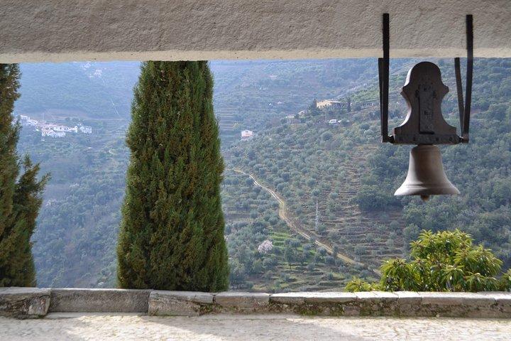 Small-Group Douro Valley Tour: 3 Wineries & Winery Lunch