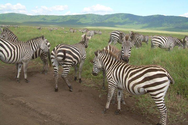 2 Days Lodge safari.
