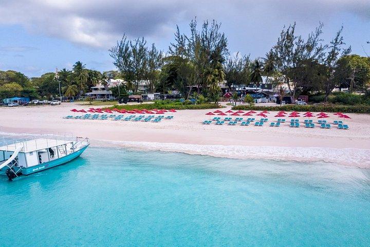 Harbour Lights-Chair &Turtle Shipwreck Snorkel Tour(10:30-1:30pm)