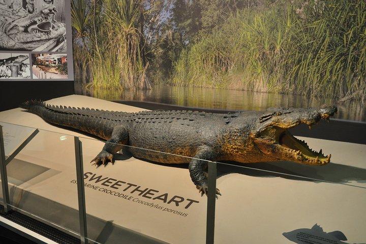 Darwin City Explorer Tour