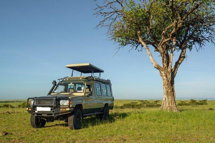 10-Day Private Spectacular Big 5 Wildlife Safari and Beach Holiday