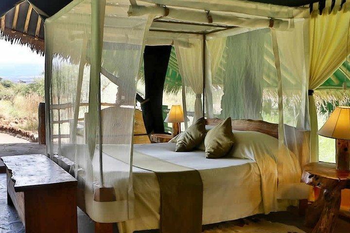 10-Day Private Spectacular Big 5 Wildlife Safari and Beach Holiday