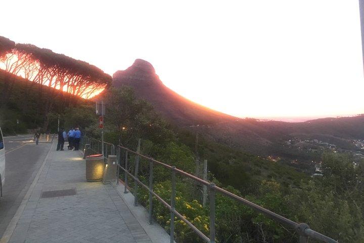 Private Tour: Table Mountain, Penguin Colony & Cape of Good Hope incl. Park Fees