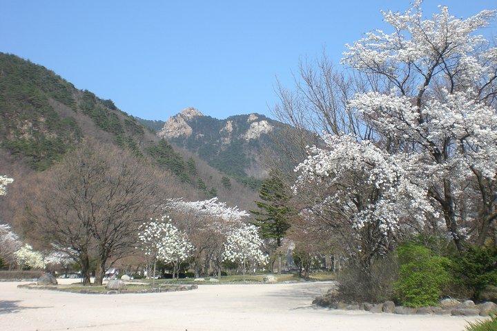 Fullday Mt. Seorak Tour