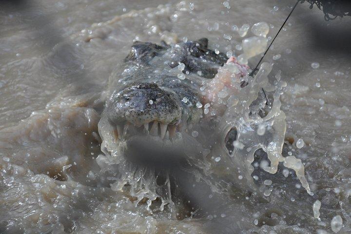Jumping Crocodile Cruise with lunch