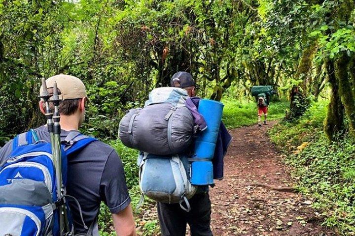 8-Day Mount Kilimanjaro Trekking Tour Lemosho Route